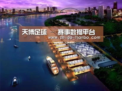 案例展示八