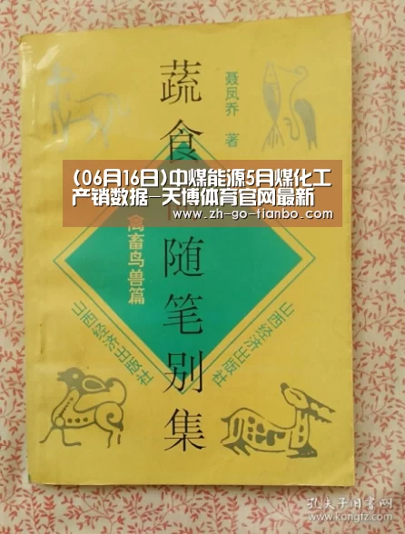(06月16日)中煤能源5月煤化工产销数据-天博体育官网最新版本(图2) 天博体育官网下载安装