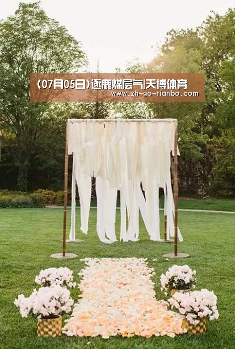 (07月05日)逐鹿煤层气|天博体育(图1) 天博体育