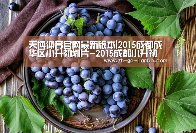天博体育官网最新版本|2015成都成华区小升初划片-2015成都小升初(图2) 天博体育